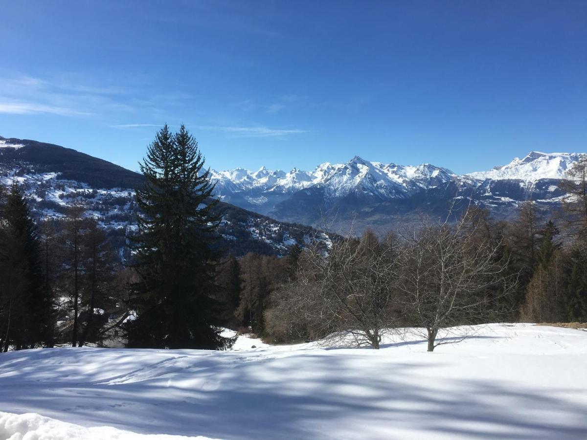 Chez Follo Chalé